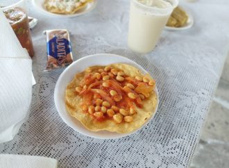 ABREN CULTIVO DE SOYA EN MORELOS