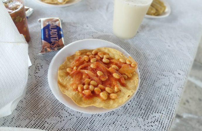 ABREN CULTIVO DE SOYA EN MORELOS