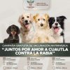 “JUNTOS POR AMOR A CUAUTLA”