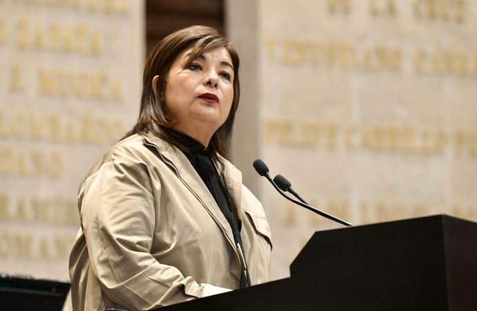 Diputada Meggie Salgado impulsa propuesta paramodernizar la movilidad en aeropuertos rumbo al