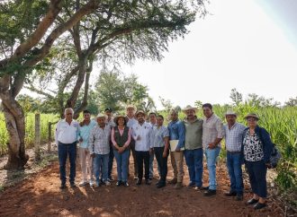 SUPERVISAN REHABILITACIÓN DE CAMINOS DE SACA EN YAUTEPEQUES