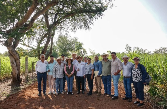 SUPERVISAN REHABILITACIÓN DE CAMINOS DE SACA EN YAUTEPEQUES
